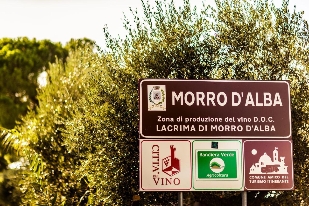 B&B Al Chicco D'Uva Morro dʼAlba Exteriör bild