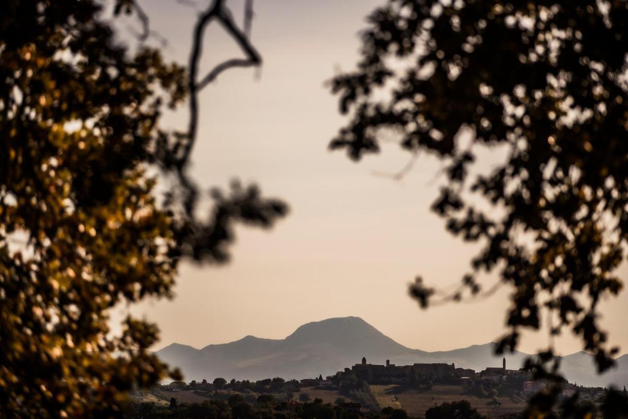 B&B Al Chicco D'Uva Morro dʼAlba Exteriör bild