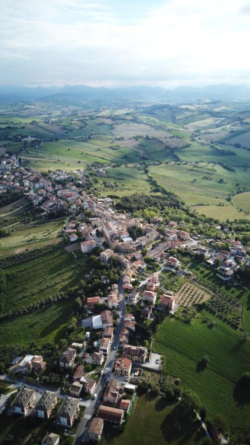 B&B Al Chicco D'Uva Morro dʼAlba Exteriör bild