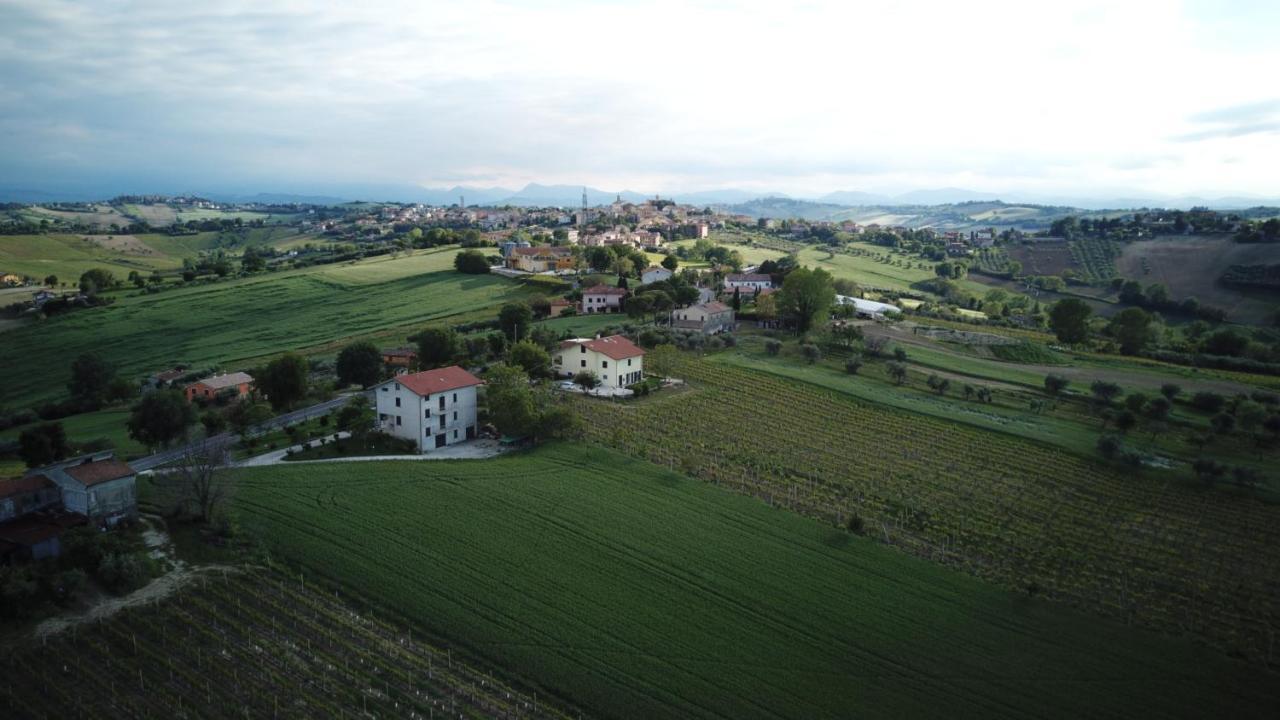 B&B Al Chicco D'Uva Morro dʼAlba Exteriör bild